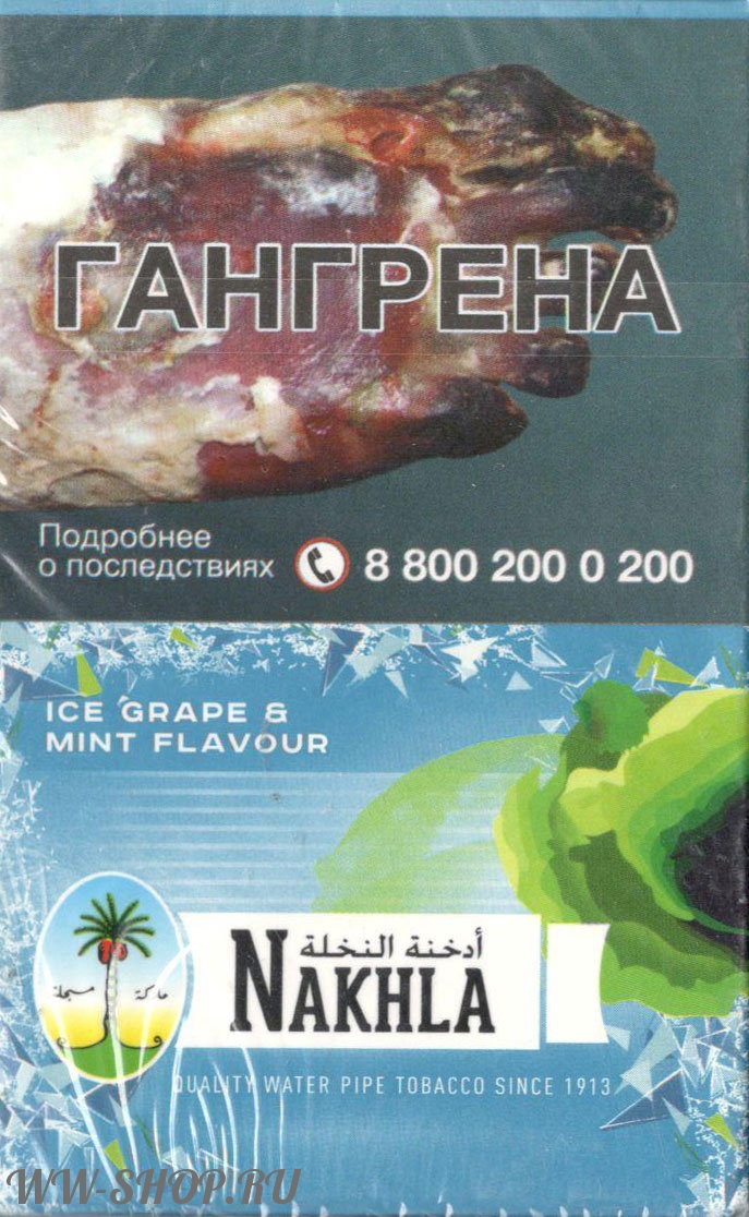 nakhla - лед виноград мята (ice grape mint) Тамбов