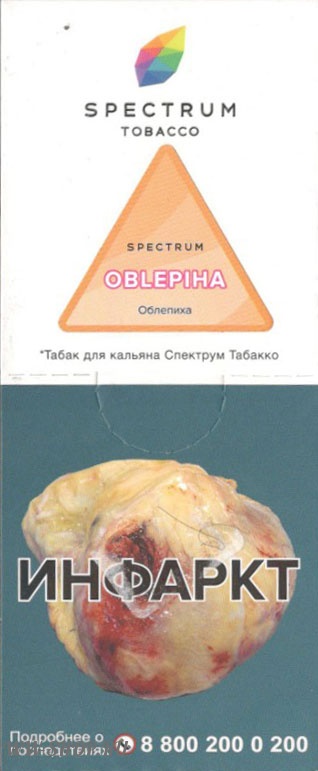spectrum- облепиха (oblepiha) Тамбов